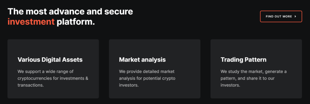 Tesla Investors Corporation 1 скрин