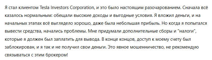 Tesla Investors Corporation 3 скрин