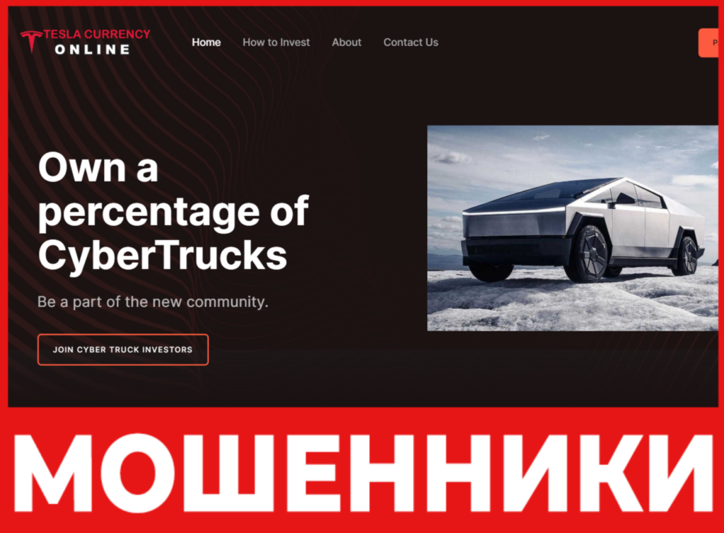 Tesla Investors Corporation лицевая сторона скрин