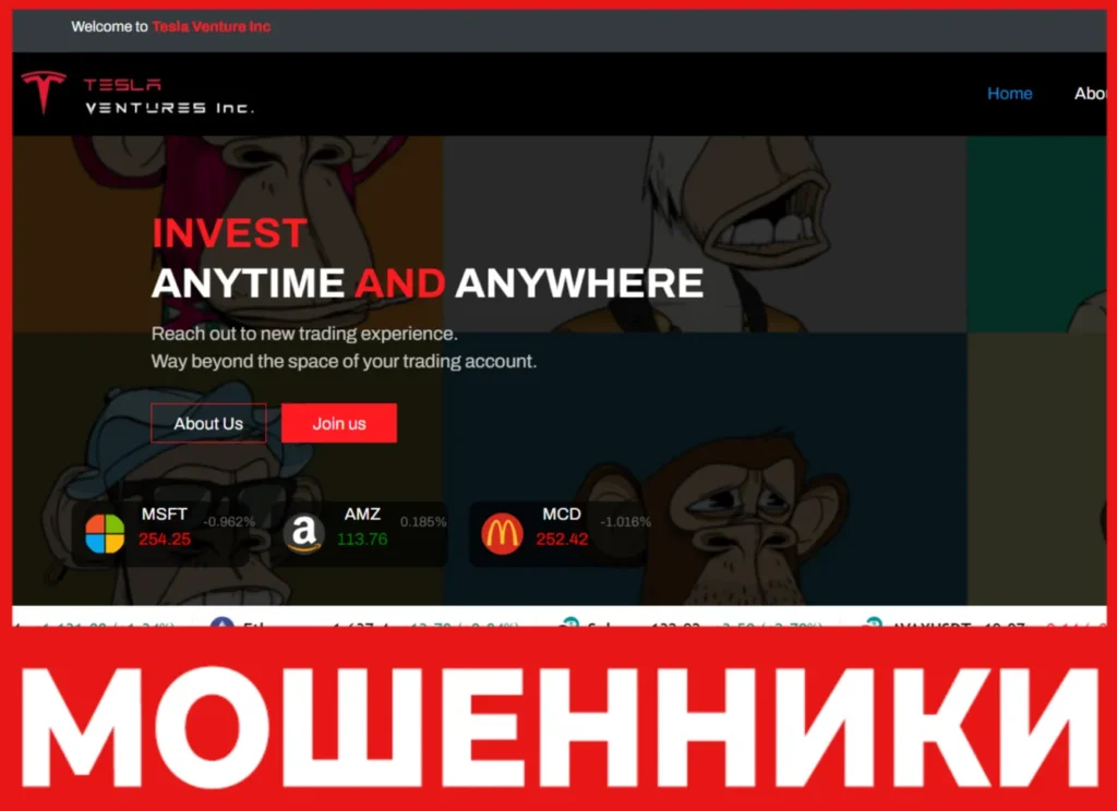 Tesla Ventures Inc лицевая сторона скрин