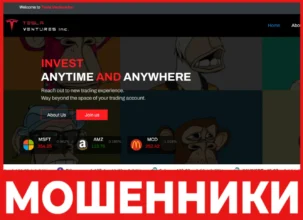 Tesla Ventures Inc лицевая сторона скрин