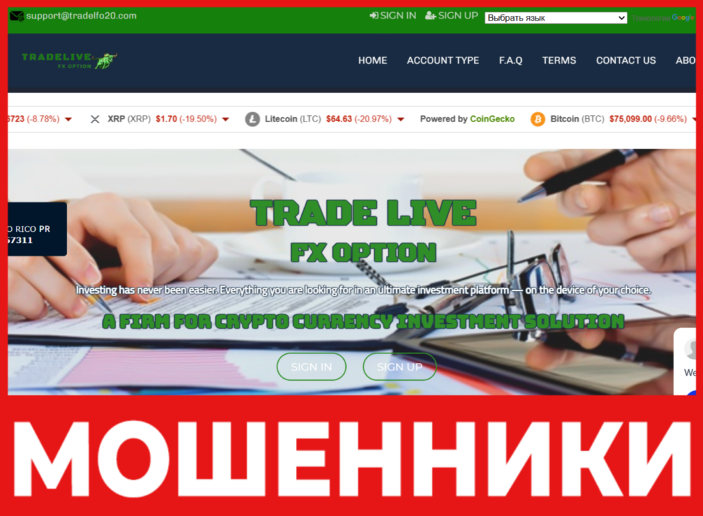 Trade Live FX Option лицевая сторона скрин