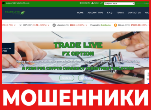 Trade Live FX Option лицевая сторона скрин