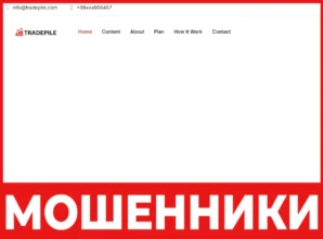 Tradepile лицевая сторона скрин