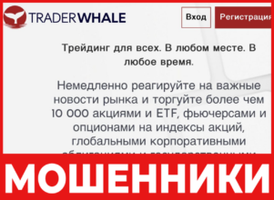 Trader Whale лицевая сторона скрин