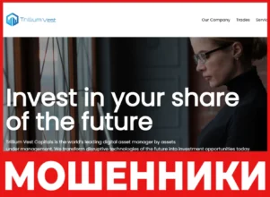 Trillium Vest лицевая сторона скрин