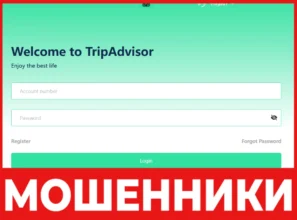 TripAdvisor лицевая строна скрин