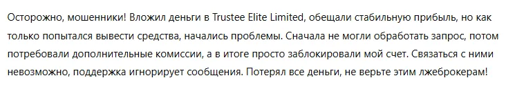 Trustee Elite Limited 3 скрин