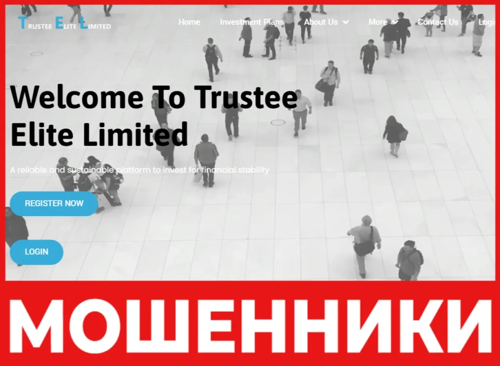 Trustee Elite Limited лицевая сторона скрин