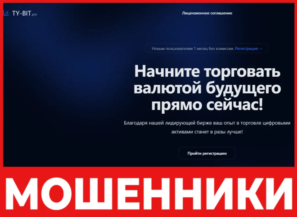 Ty Bit лицевая сторона скрин