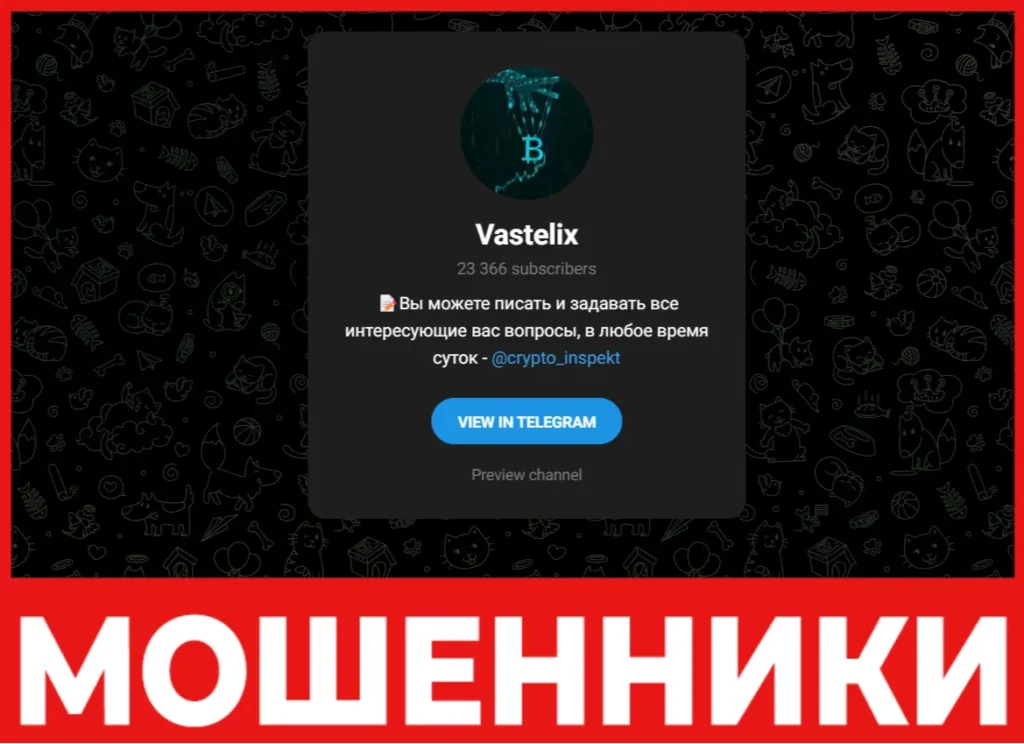 Vastelix лицевая сторона скрин