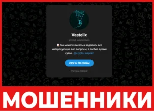 Vastelix лицевая сторона скрин