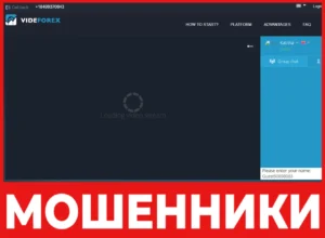 Videforex лицевая сторона скрин