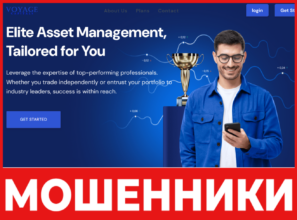 Voyager Capitals лицевая сторона скрин