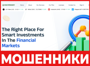 WealthTokenify лицевая сторона скрин