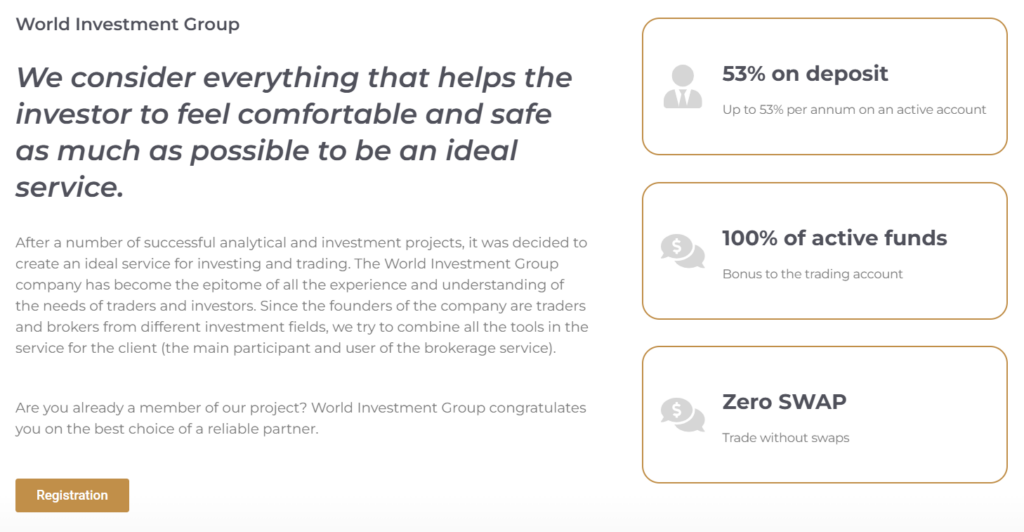 World Investment Group 2 скрин