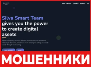 Silva Smart Team лицевая сторона скрин