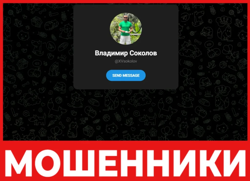 Владимир Соколов лицевая сторона скрин