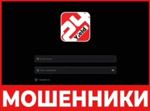 24YIELD лицевая сторона скрин