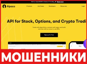 Alpaca лицевая сторона скрин