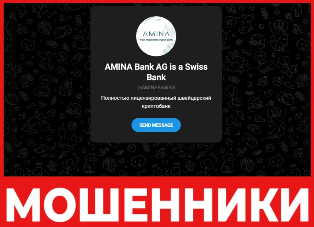 AMINA Bank AG is a Swiss Bank лицевая сторона скрин
