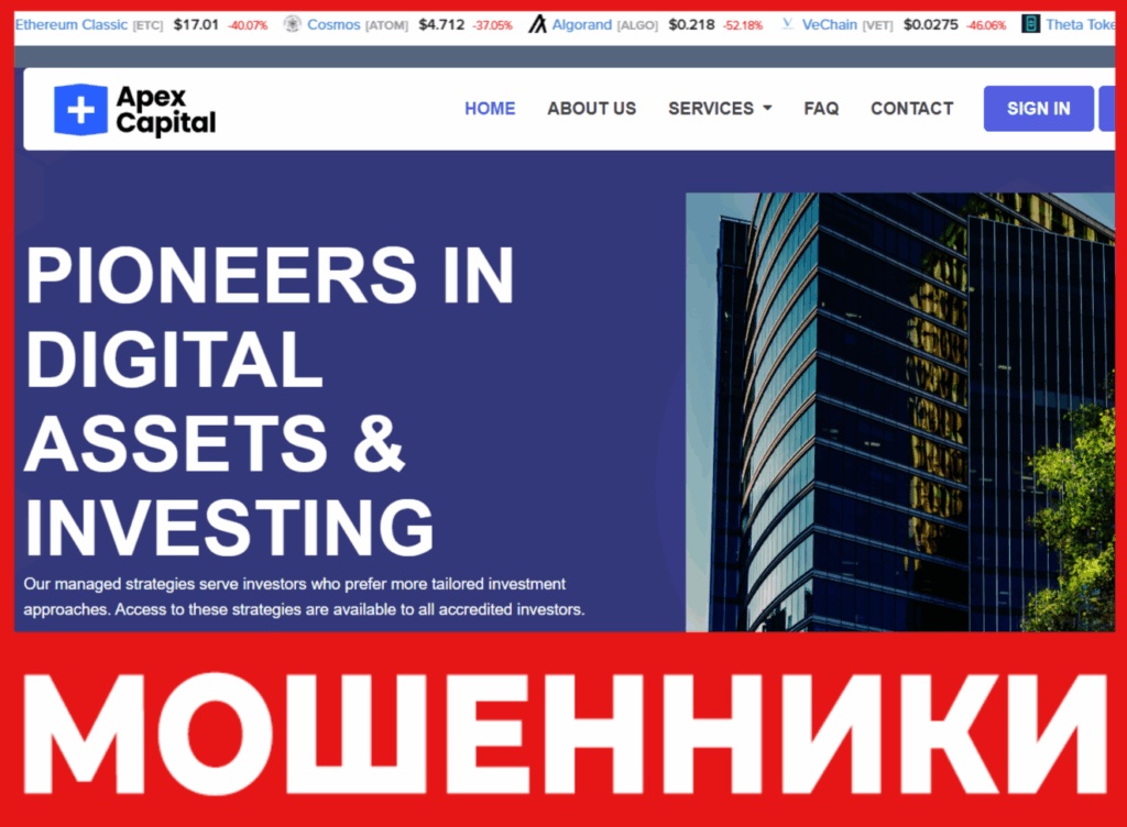 Apex Capital Hub лицевая сторона скрин