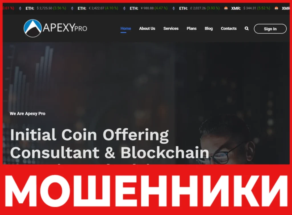 Apexy Pro лицевая сторона скрин