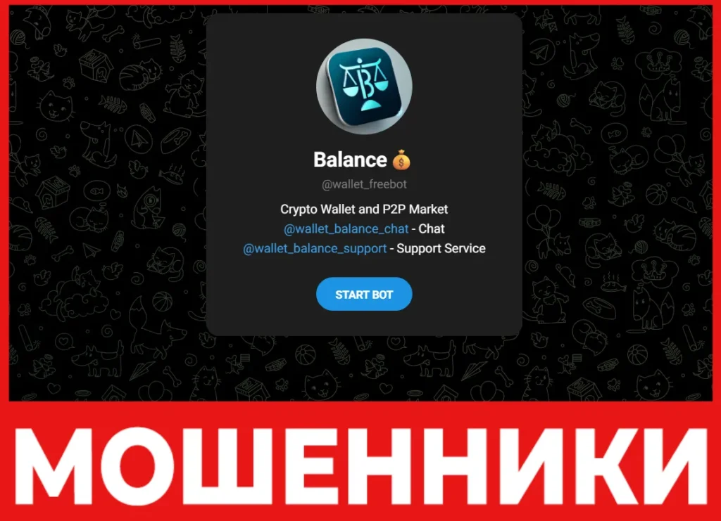 Balance Wallet лицевая сторона скрин