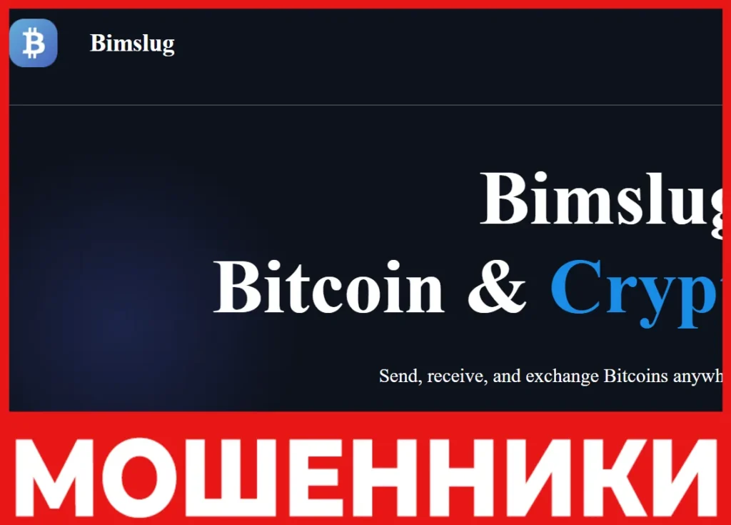 Bimslug лицевая сторона скрин