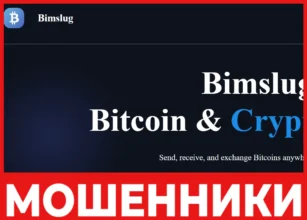 Bimslug лицевая сторона скрин