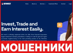 Bitinvest лицевая сторона скрин