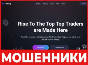 Bitleq лицевая сторона скрин