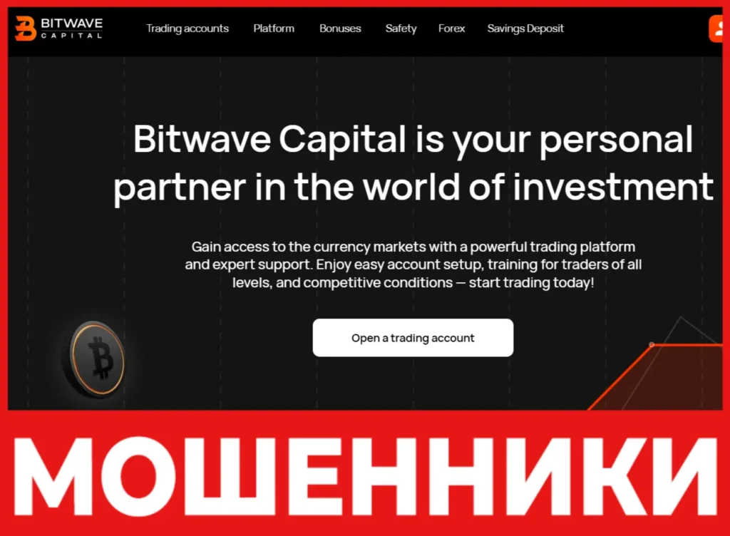 Bitwave Capital лицевая сторона скрин