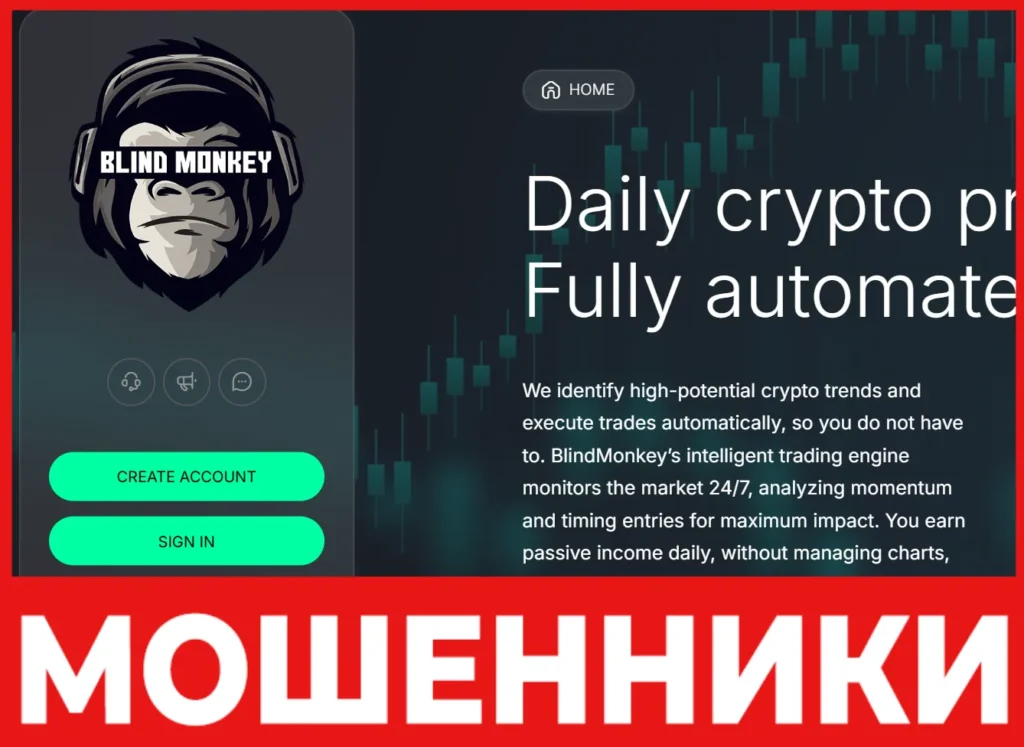 Blind Monkey лицевая сторона скрин