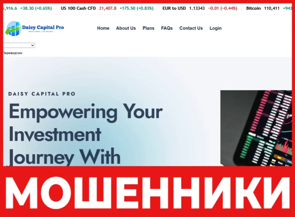 Daisy Capital Pro лицевая сторона скрин