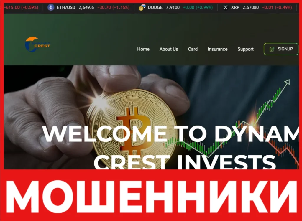 Dynamic Crest лицевая сторона скрин