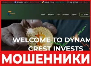 Dynamic Crest лицевая сторона скрин