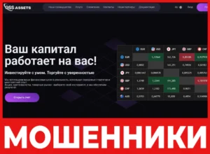 G.S.S. ASSETS лицевая сторона скрин