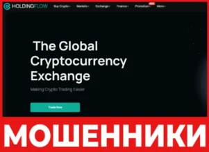 Holdingflow лицевая сторона скрин