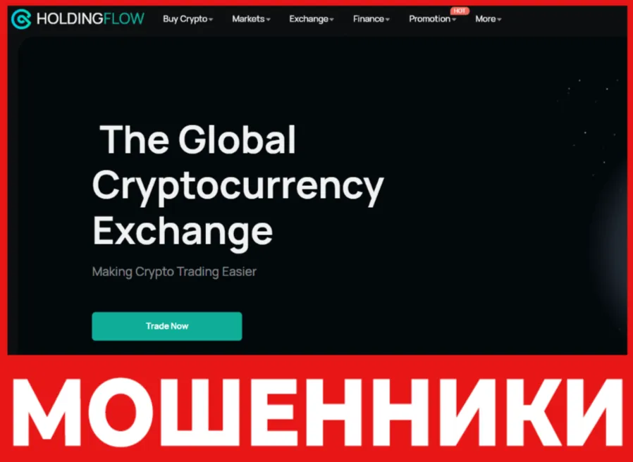 Holdingflow лицевая сторона скрин