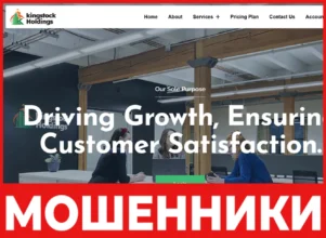 KingStock Holdings лицевая сторона скрин