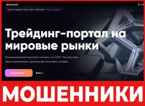 METALSFOX лицевая сторона скрин