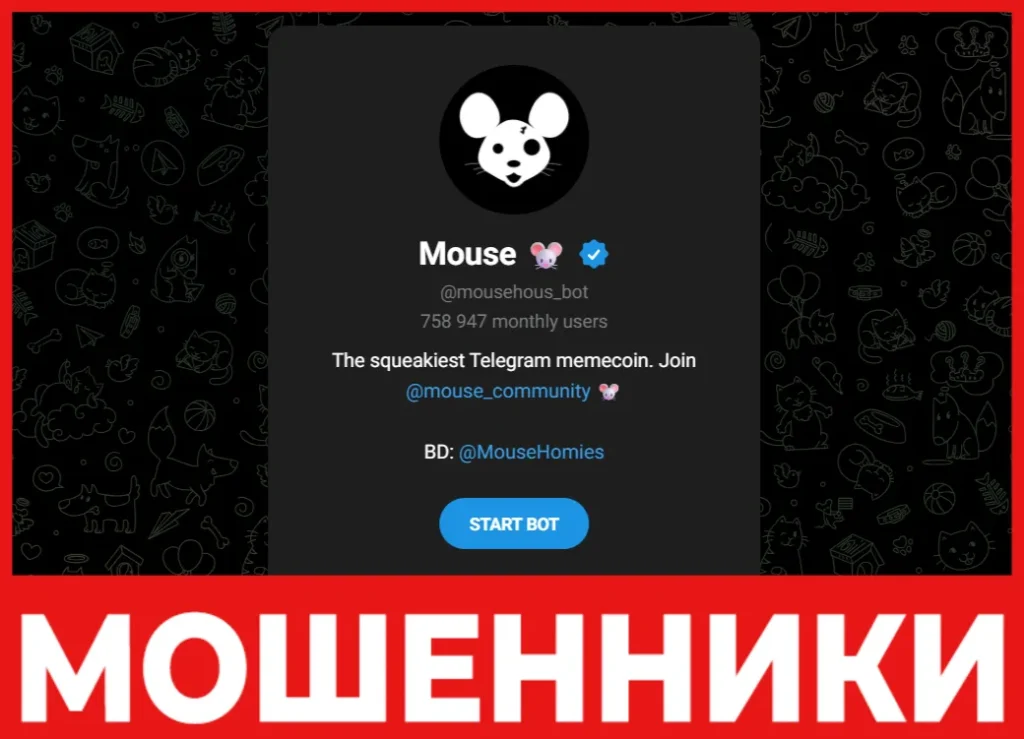 Mouse лицевая сторона скрин