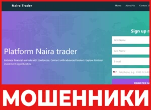 Naira Trader лицевая сторона скрин