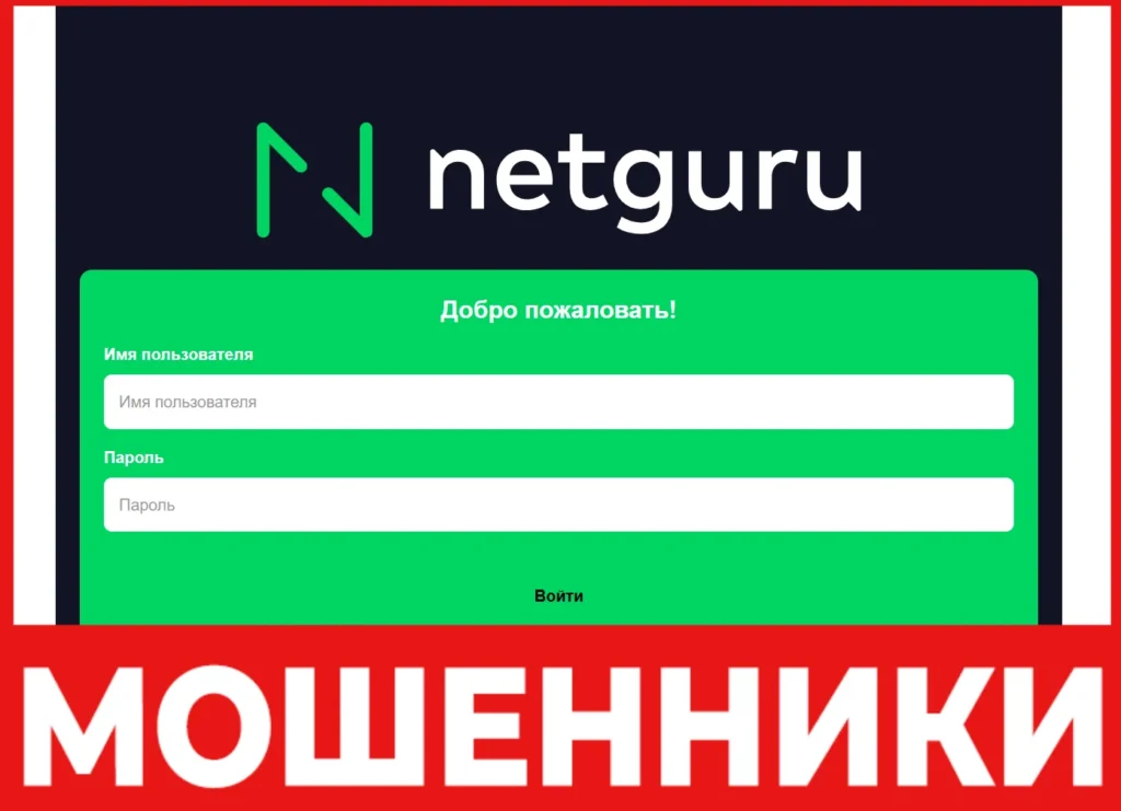 Netguruhoe лицевая сторона скрин