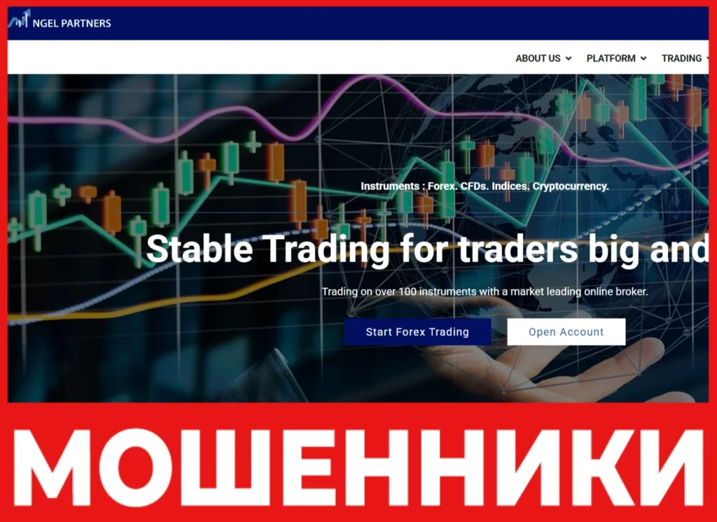 Ngel Partners лицевая сторона скрин