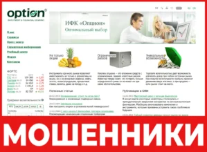 Option лицевая сторона скрин