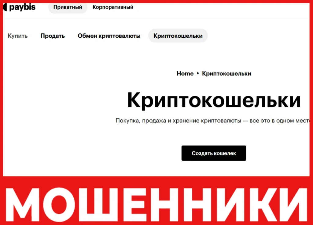 Paybis лицевая сторона скрин