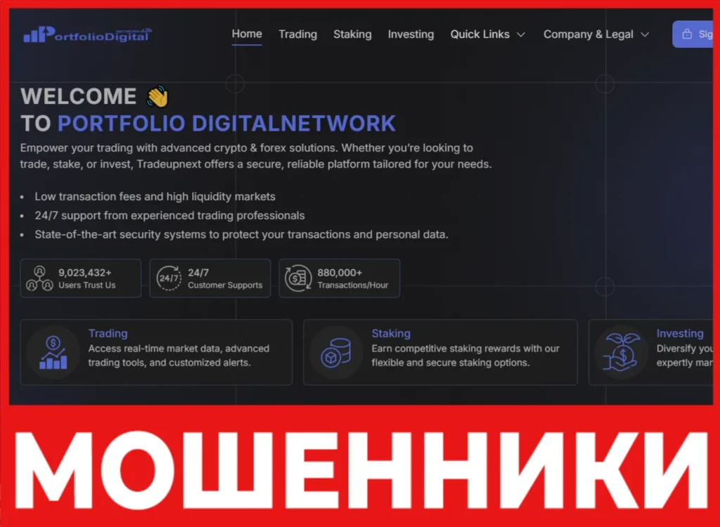 PortfolioDigitalNetwork лицевая сторона скрин
