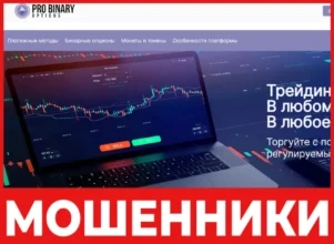 Pro Binary Options лицевая сторона скрин